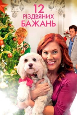 12 різдвяних бажань  (фільм) – Відгуки