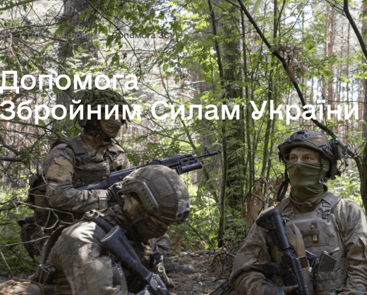 допомога зсу