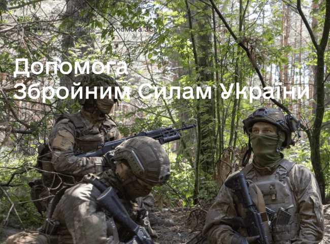 допомога зсу