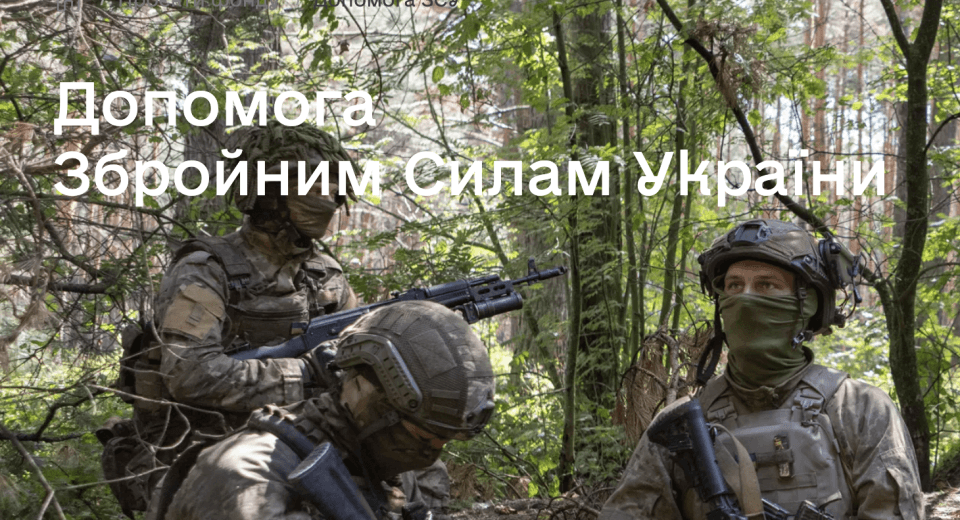 допомога зсу