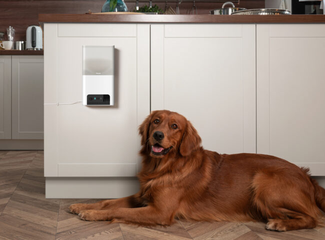 Фото: Petcube, офіційний преснабір https://petcube.com/mediakit/ . Bites 2 Lite у домашньому інтер’єрі. Камера Petcube Bites 2 Lite на кухні поруч із собакою