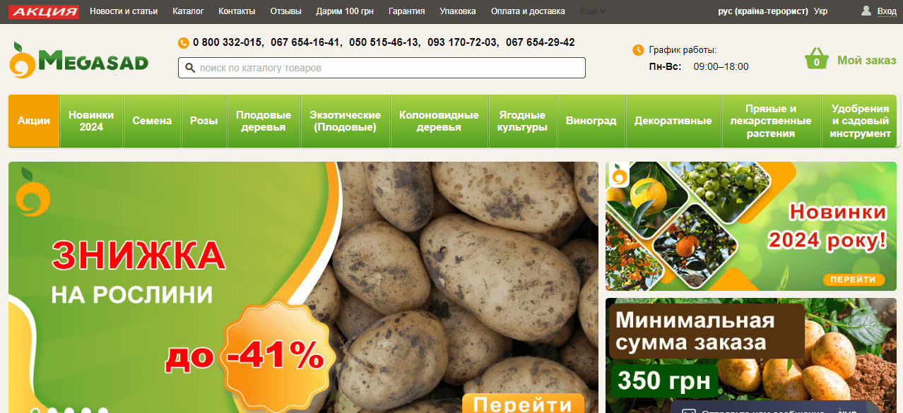 Мегасад