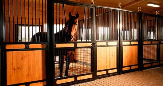 Кінний клуб Equides Club
